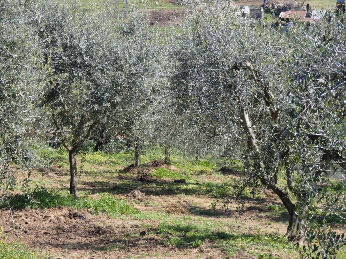 I Due Melograni Agriresort Tarano Екстериор снимка